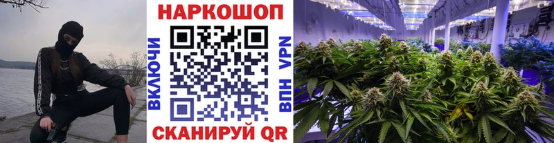 Купить закладку МАРИХУАНА  Галлюциногенные грибы  Cocaine  ГАШ  Меф мяу мяу  Краснознаменск