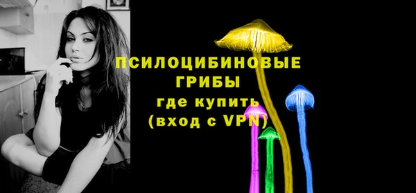 МДПВ Гусь-Хрустальный