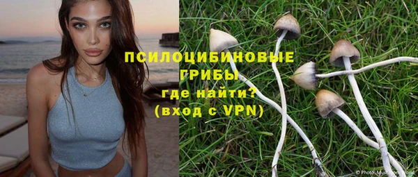 мяу мяу кристалл Гусев
