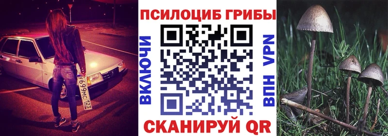 Псилоцибиновые грибы прущие грибы  Купить закладки  Краснознаменск 